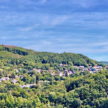 Natur-Panorama-Suite am Rursee Heimbach Exterior foto