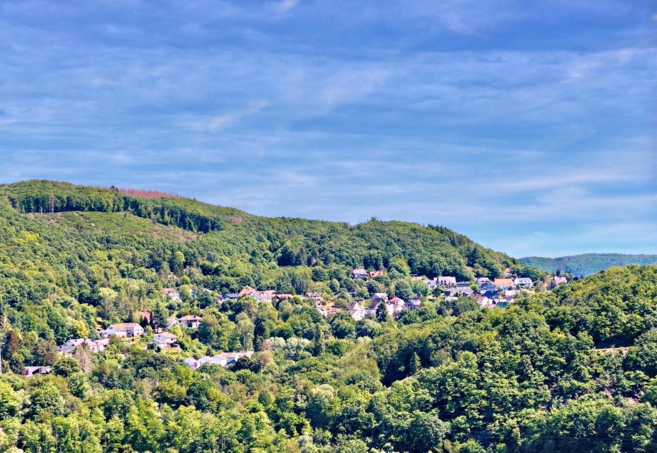 Natur-Panorama-Suite am Rursee Heimbach Exterior foto
